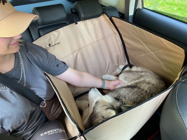 Dog Car seat cover Happy Travel Beige 2/3 of the back seat