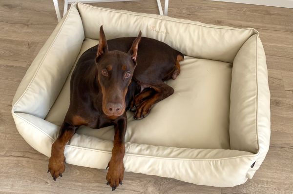 Waterproof Dog bed Sweet Dreams Ivory eco leather