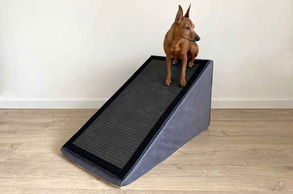 Dog ramp Graphite 