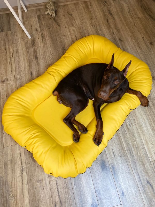 Waterproof dog bed Pontoon Lemon eco leather