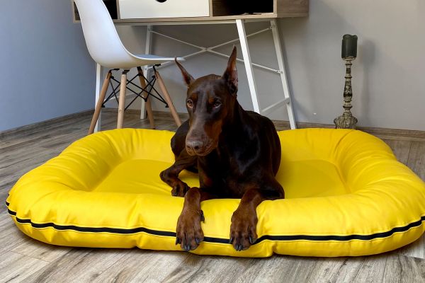 Waterproof dog bed Pontoon Lemon eco leather