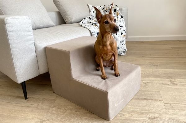 Сходинки для Собак Beige 2х-рівневі