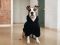 Warm Hoodie For Dogs oversized with a hood Black XS-7XL