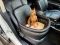 Dog car seat Luxury Black