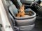 Dog car seat Luxury Black