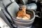 Dog car seat Luxury Black