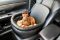 Dog car seat Luxury Black