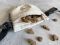Dog treat bag Ivory
