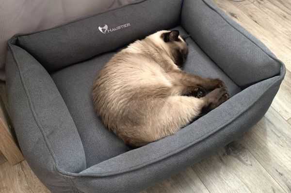 Dog & Cat bed Sweet Dreams Gray