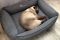 Dog & Cat bed Sweet Dreams Gray