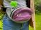 Banana Bag For Training And Walking Grape eco-leather