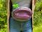 Banana Bag For Training And Walking Grape eco-leather