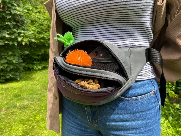 Banana Bag For Training And Walking Grape eco-leather