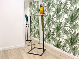 Parrots stand Black Loft
