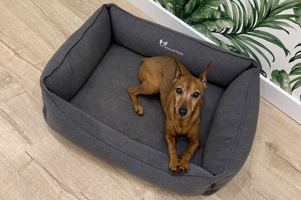 Dog & Cat bed Sweet Dreams Gray