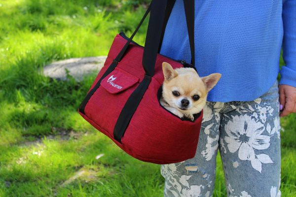 Carrying bag for Dogs & Cats City Winter Cherry