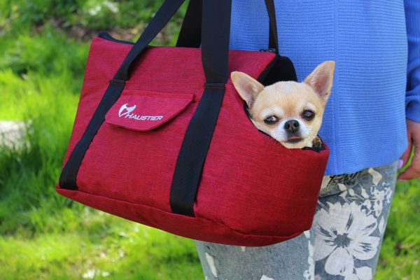 Carrying bag for Dogs & Cats City Winter Cherry