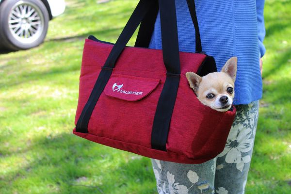 Carrying bag for Dogs & Cats City Winter Cherry
