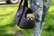 Carrying bag for Dogs & Cats City Cosmic Dust