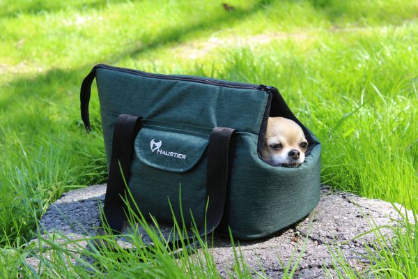Carrying bag for Dogs & Cats City Deep Forest