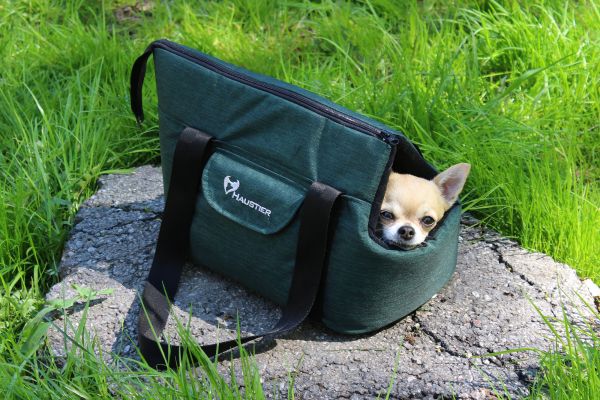 Carrying bag for Dogs & Cats City Deep Forest