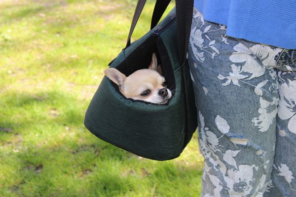 Carrying bag for Dogs & Cats City Deep Forest