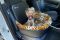 Dog Car Seat Luxury Leopard