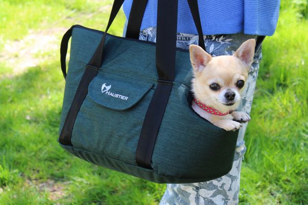 Carrying bag for Dogs & Cats City Deep Forest
