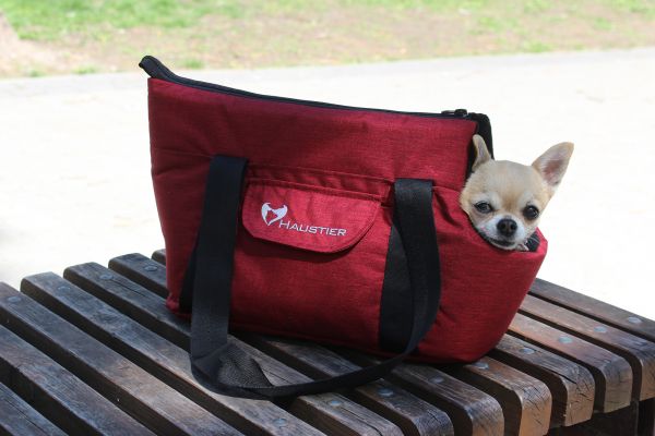 Carrying bag for Dogs & Cats City Winter Cherry