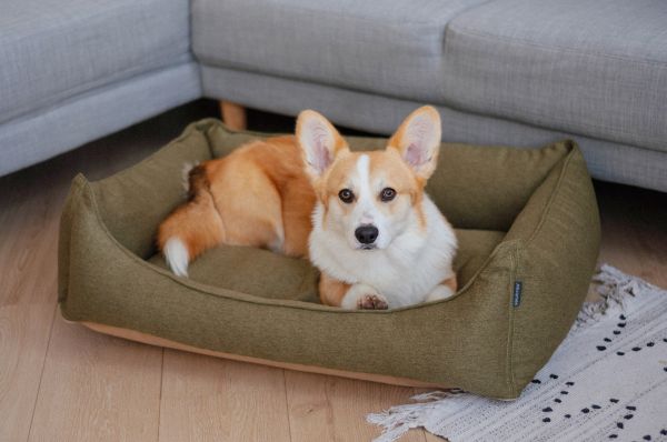 Dog & Cat bed Sweet Dreams Olive
