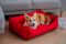 Dog & Cat bed Sweet Dreams Red