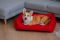 Dog & Cat bed Sweet Dreams Red