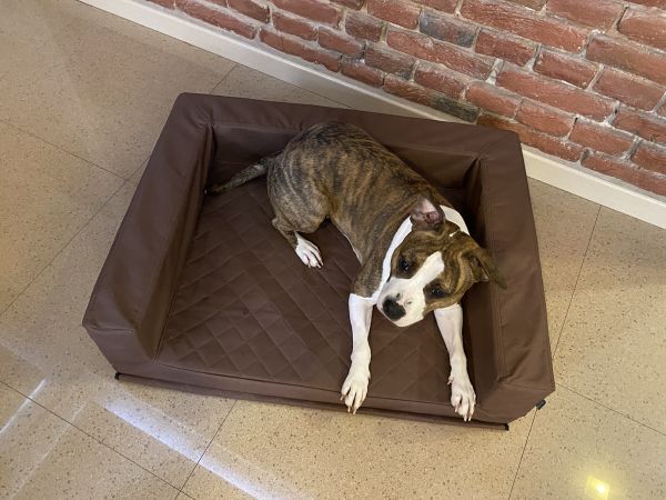 Dog bed for car Elegant Chocolate Waterproof