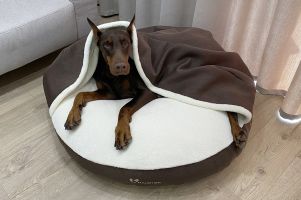 Лежак для Собак та Котів Lounge Brown з капюшоном