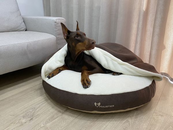 Лежак для Собак та Котів Lounge Brown з капюшоном