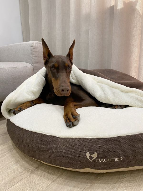 Лежак для Собак та Котів Lounge Brown з капюшоном