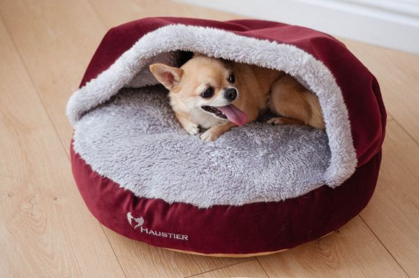 Cat & Dog cave bed Bordo