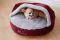 Cat & Dog cave bed Bordo
