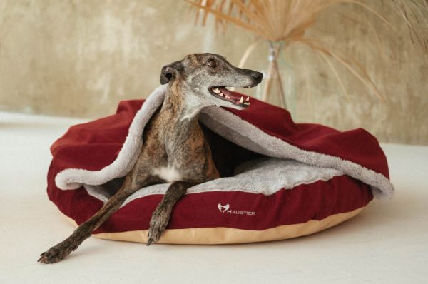 Cat & Dog cave bed Bordo