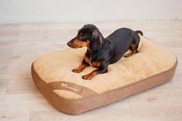 Матрац для Собак та Котів Teddy Honey