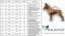 Summer Hoodie For Dogs oversized with a hood Gray XS-7XL