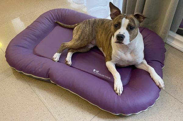 Waterproof dog bed Pontoon Gray&Violet eco leather
