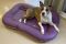 Waterproof dog bed Pontoon Gray&Violet eco leather