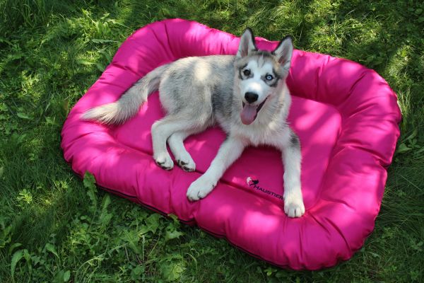 Лежак для Собак Ponton Fuchsia вологостійкий двосторонній