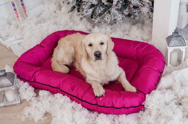 Лежак для Собак Ponton Fuchsia вологостійкий двосторонній