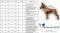 Rain coat for dogs with knitted lining Olive S-7XL