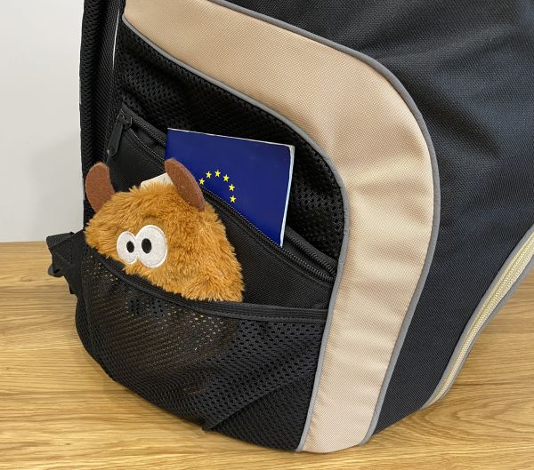 Backpack carrier for dogs and cats Discovery Black