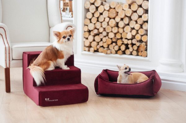 Dog & Cat bed Sweet Dreams Bordo