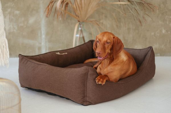 Dog & Cat bed Sweet Dreams Brown