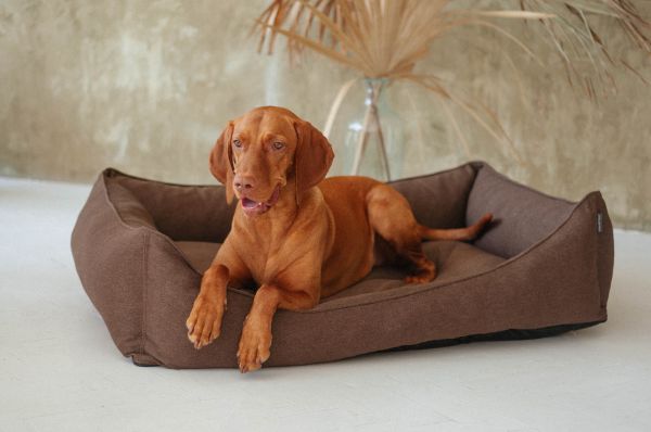 Dog & Cat bed Sweet Dreams Brown